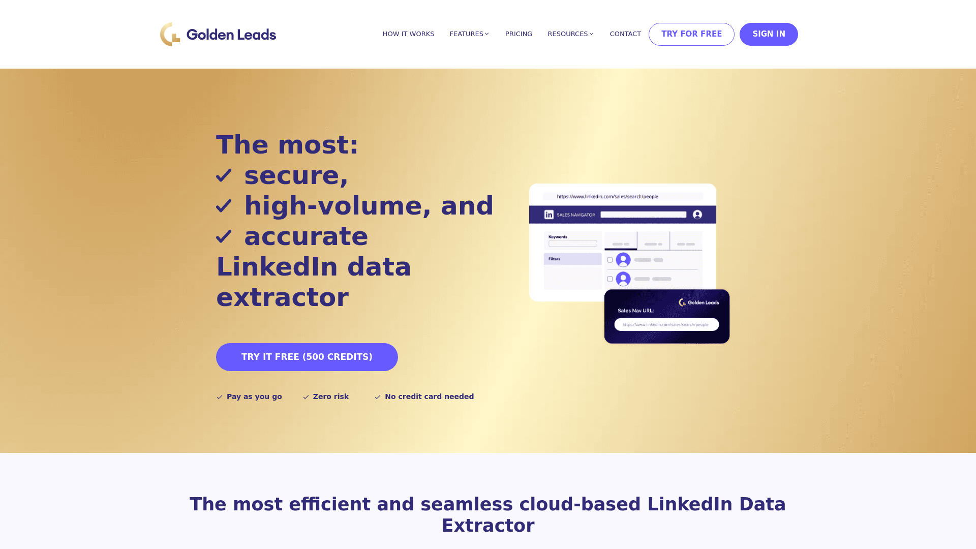 Homepage of Golden Leads