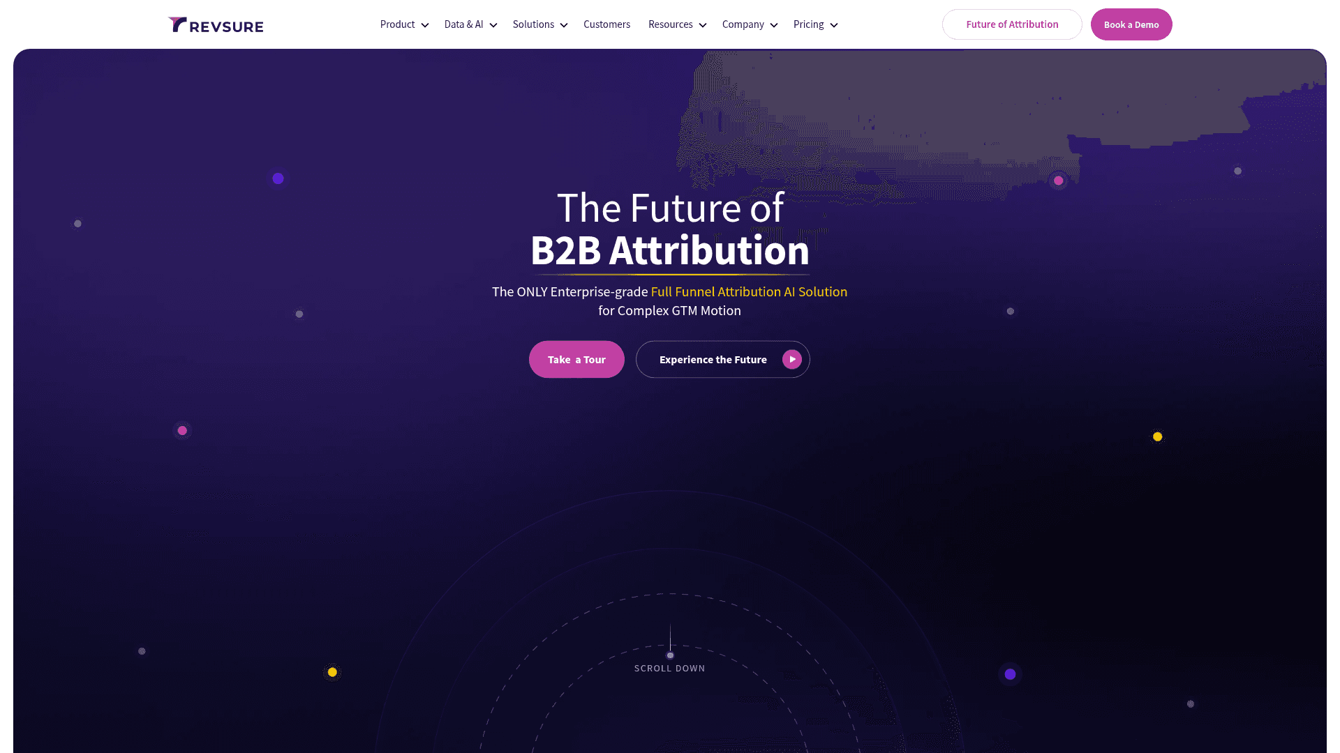 Homepage of RevSure